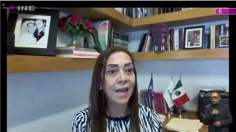 Adriana Favela Herrera, Consejera Electoral