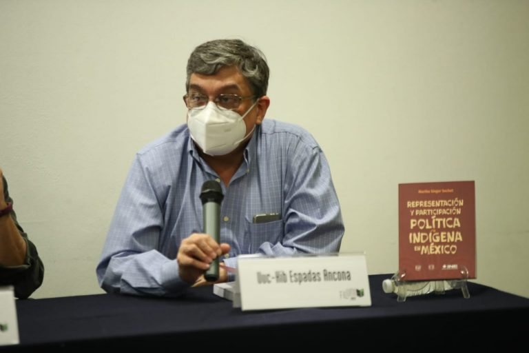 Ucc-Kib Espadas Ancona, Consejero Electoral del INE.