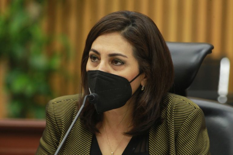 Claudia Zavala Pérez, Consejera Electoral.