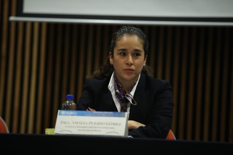 Amalia Pulido Gómez, Presidenta del IEEM.