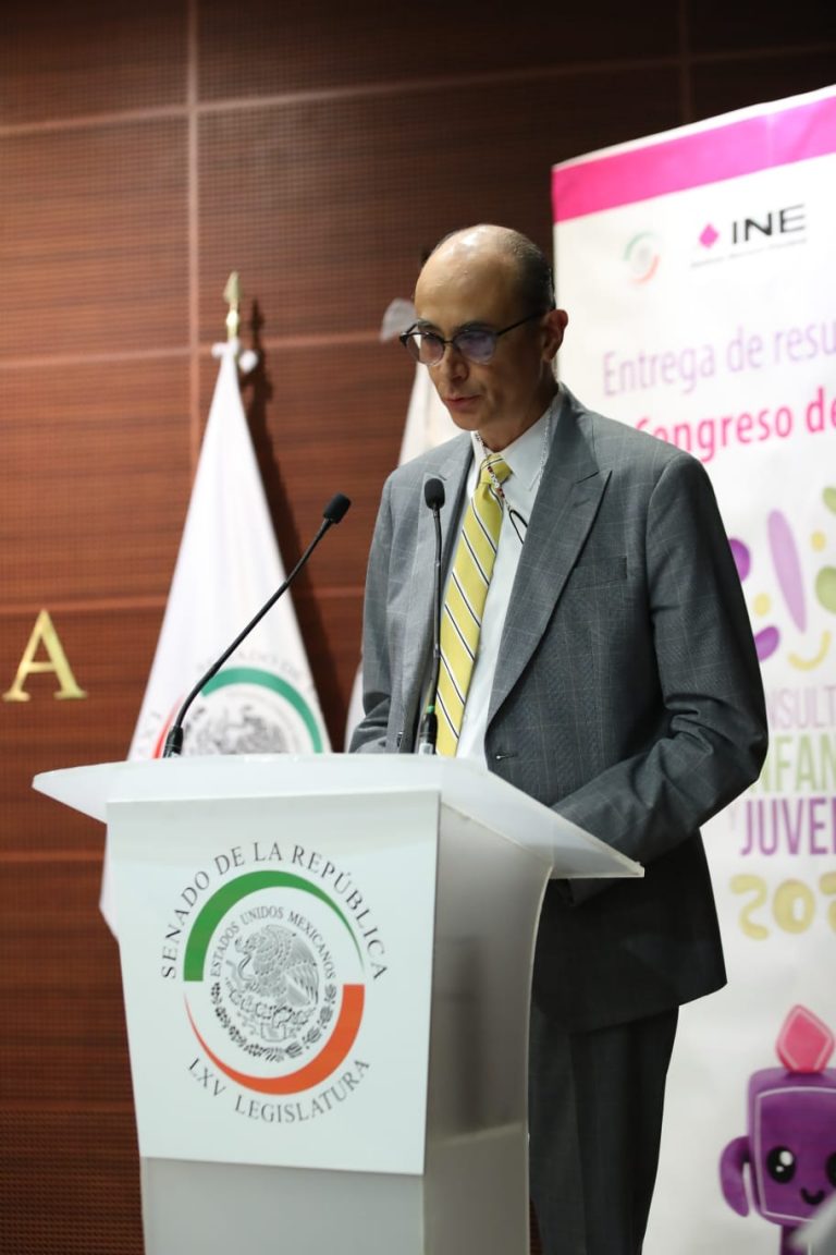 Martín Faz Mora, Consejero Electoral