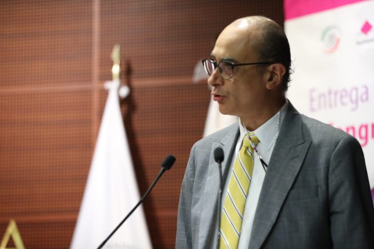 Martín Faz Mora, Consejero Electoral