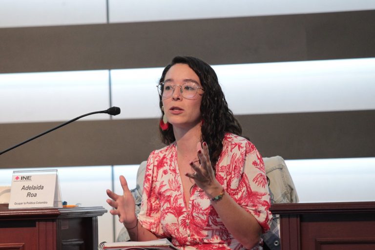 Adelina Roa, Ocupar la Política Colombia