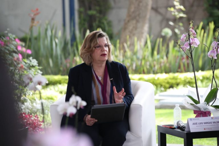 Nadine Flora Gasman Zylbermann, Presidenta del Instituto Nacional de las Mujeres