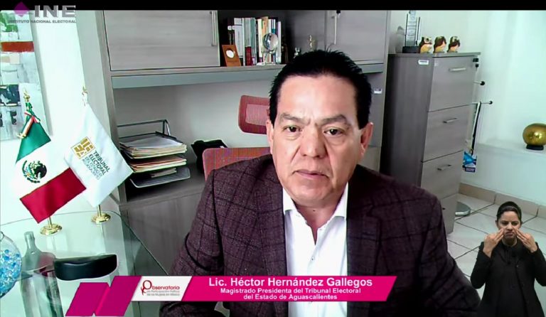 Héctor Hernández Gallegos, Magistrado Presidente del Tribunal Electoral del Estado de Aguascalientes.