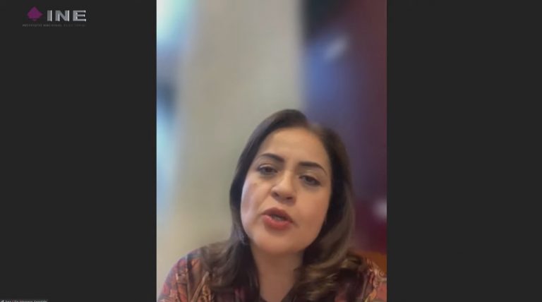 Ana Lilia Herrera Anzaldo, Presidenta de la Comisión de Derechos de la Niñez y la Adolescencia en la Cámara de Diputados