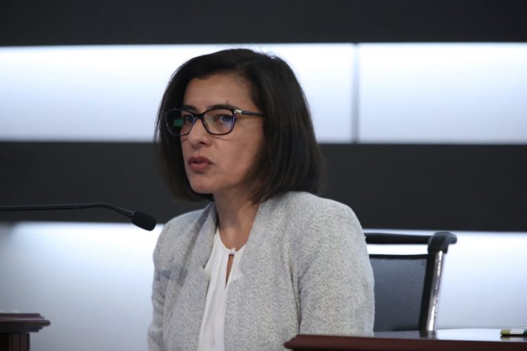 Alejandra Ríos Cázares, Directora General Adjunta de Desarrollo, Análisis e Indicadores del INEGI.