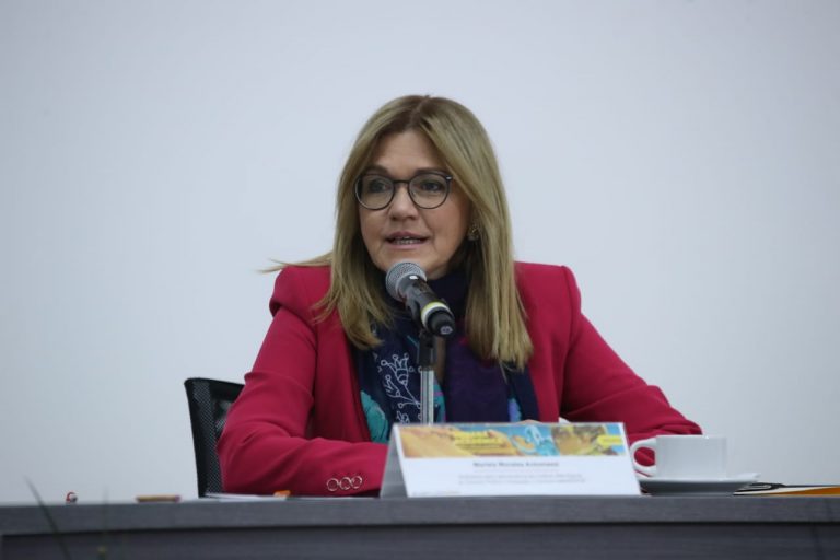 Dra. Gabriela Ruvalcaba García Directora de la Escuela Judicial Electoral.