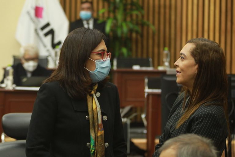 Claudia Zavala Pérez y Adriana Favela Herrera, Consejeras Electorales.