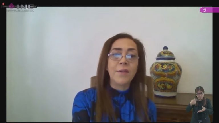 Adriana Favela Herrera, Consejera Electoral