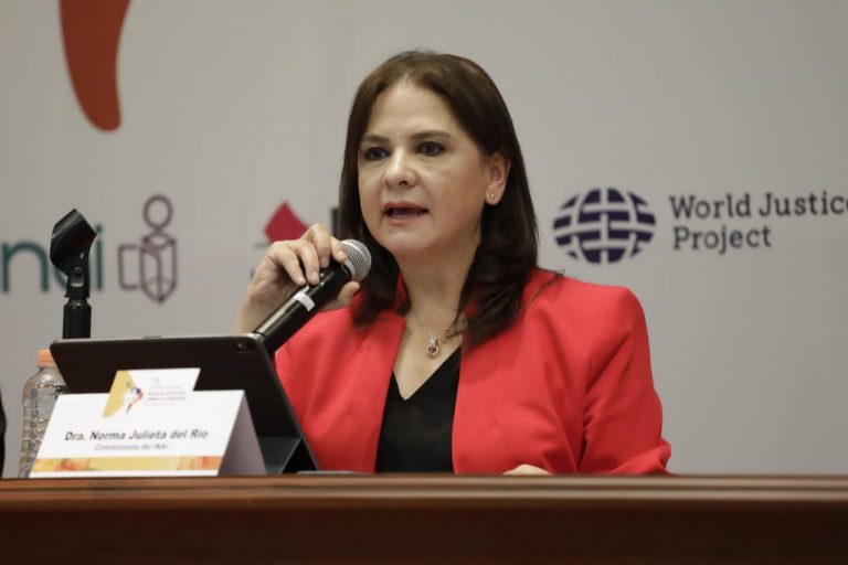 Norma Julieta del Río Venegas, Comisionada del Instituto Nacional de Transparencia, Acceso a la Información y Protección de Datos Personales (INAI).