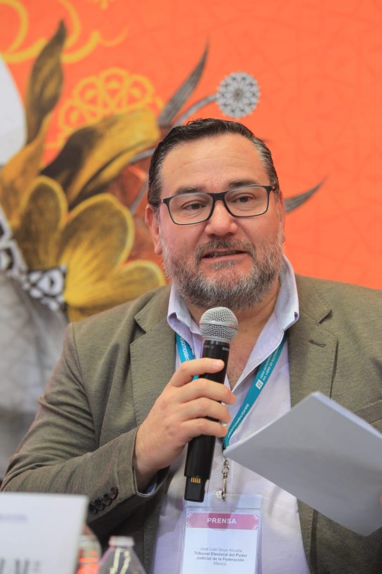 Jose Luis Alcudia, Comentarista.