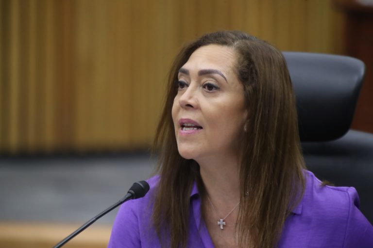 Adriana Favela Herrera, Consejera Electoral.