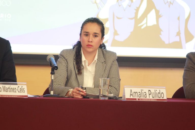 Amalia Pulido, Consejera Presidenta del IEEM.