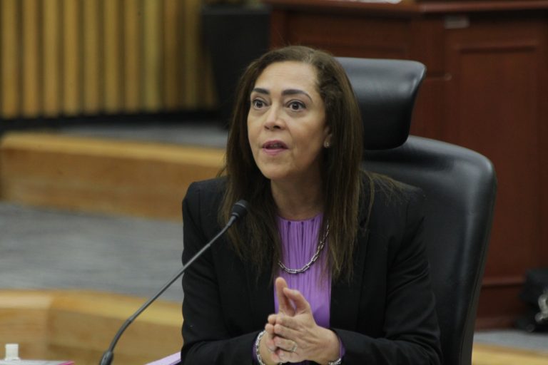 Adriana Favela Herrera, Consejera Electoral.