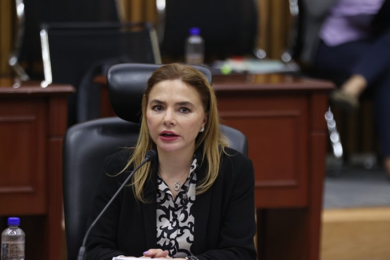 Carla Humphrey Jordan, Consejera Electoral.