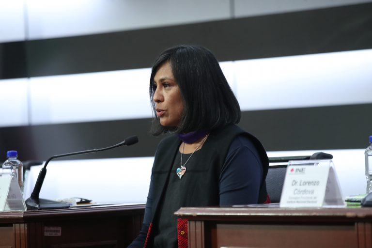 Norma Irene De La Cruz Magaña, Consejera Electoral.