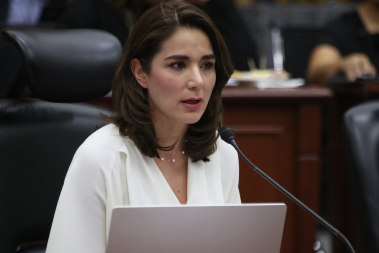 Dania Ravel Cuevas, Consejera Electoral.