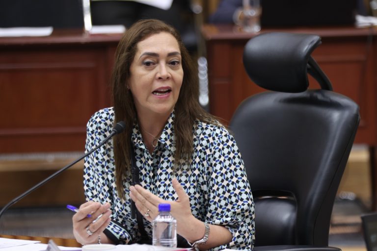 Adriana Favela Herrera, Consejera Electoral.