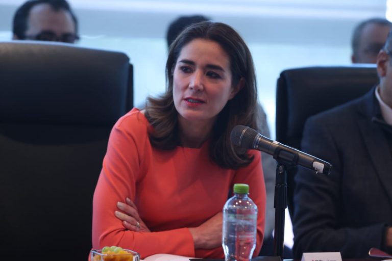 Dania Ravel Cuevas, Consejera Electoral del INE.