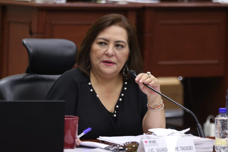 Guadalupe Taddei Zavala, Consejera Presidenta .