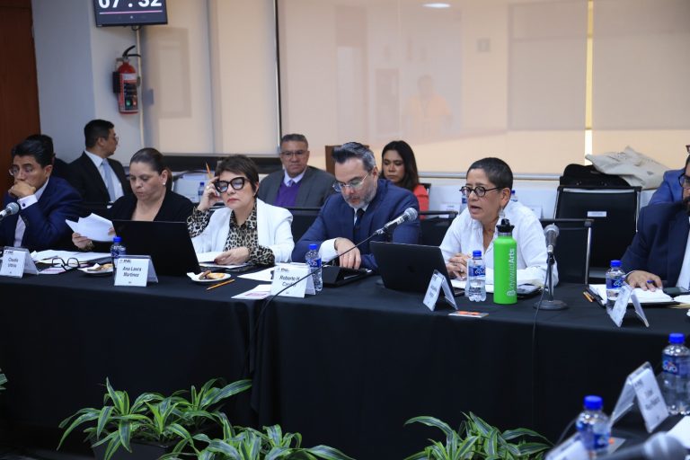 Primera sesión de la Junta General Ejecutiva del INE.