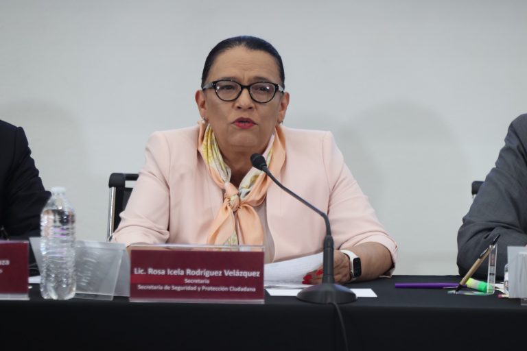 Rosa Icela Rodríguez Velázquez, Secretaria de Seguridad y Protección Ciudadana.