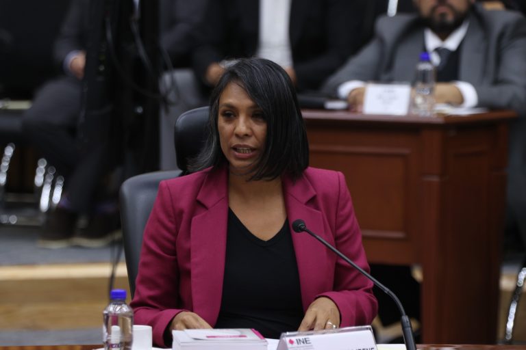 Norma Irene De La Cruz Magaña, Consejera Electoral.