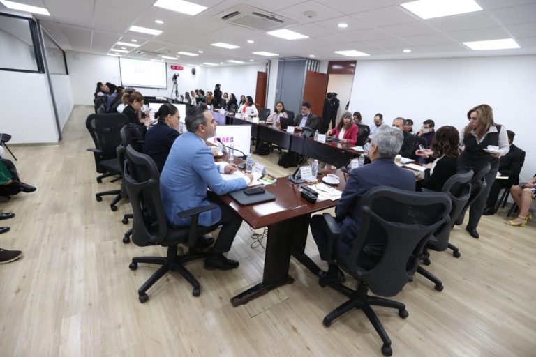 El Ine Y Los Opl Comenzaron Trabajos Para Diseñar La Estrategia De Capacitación Y Asistencia 6380