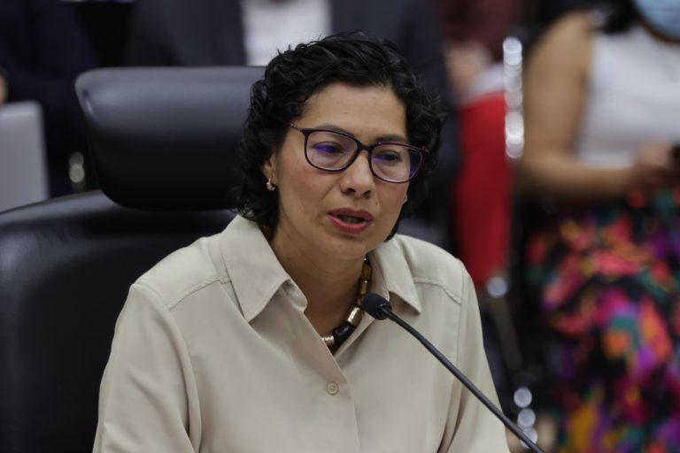 Rita Bell López Vences, Consejera Electoral.