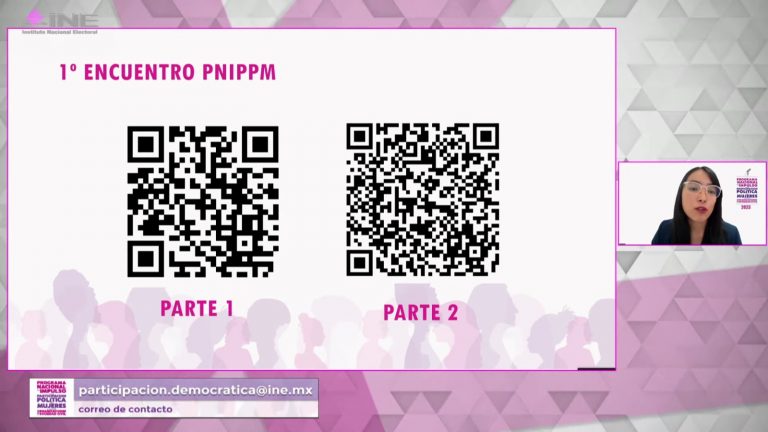 Luis Dávila, Equipo de acompañamiento del PNIPPM.