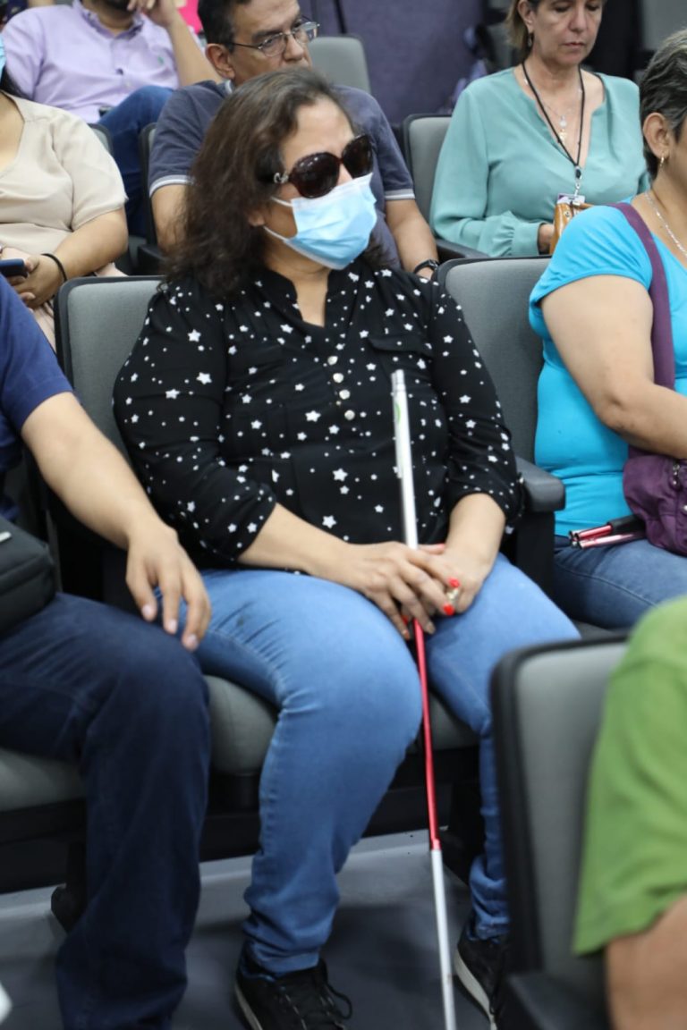 Bienvenida y Panel “El derecho al voto de las personas con discapacidad y de la diversidad sexual”.