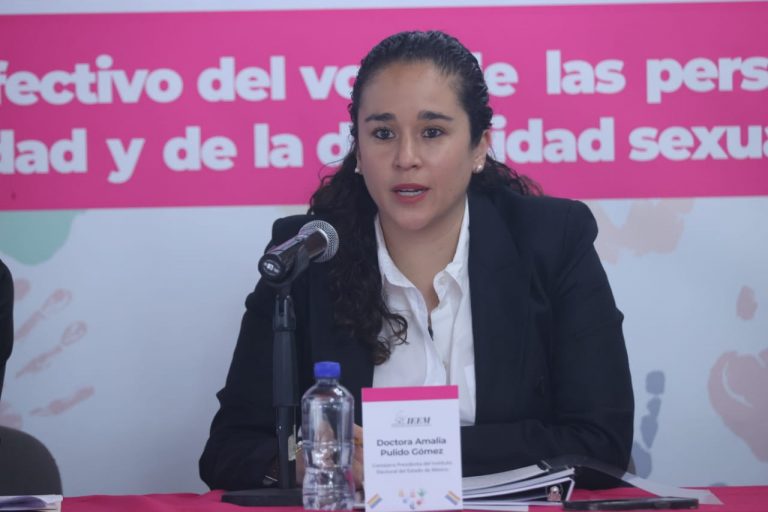 Amalia Pulido Gómez, Consejera Presidenta del IEEM.