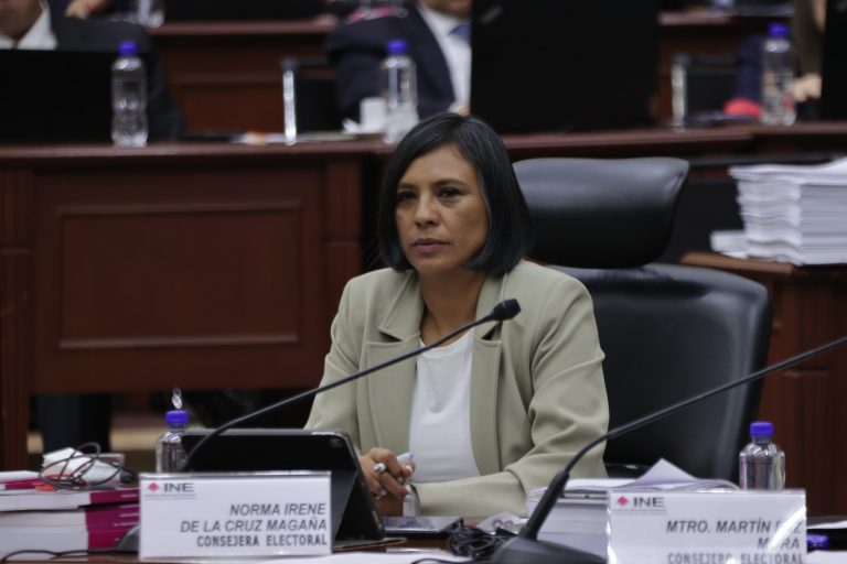 Norma Irene De La Cruz Magaña, Consejera Electoral.