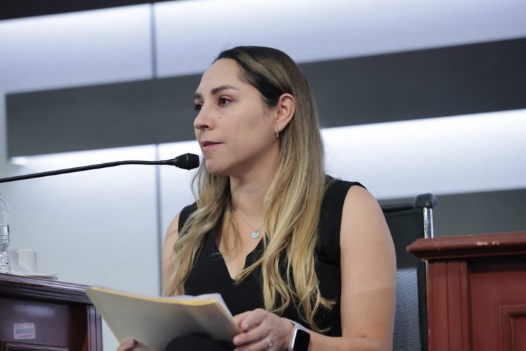 Marisol Vázquez Piñon, Subdirectora de investigación y Formación de la Unidad Técnica de igualdad de Género y No Discriminación.