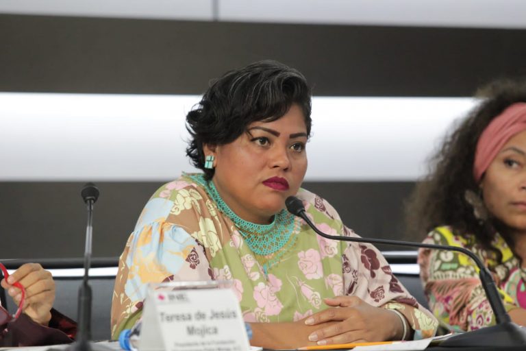 Patricia Ramírez, Activista e Integrante de la Colectiva Afroamericana.