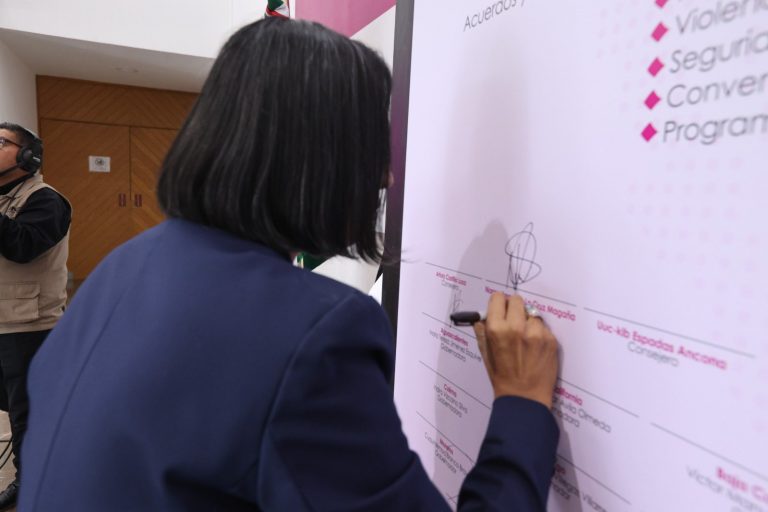 Norma Irene de la Cruz Magaña, Consejera Electoral.