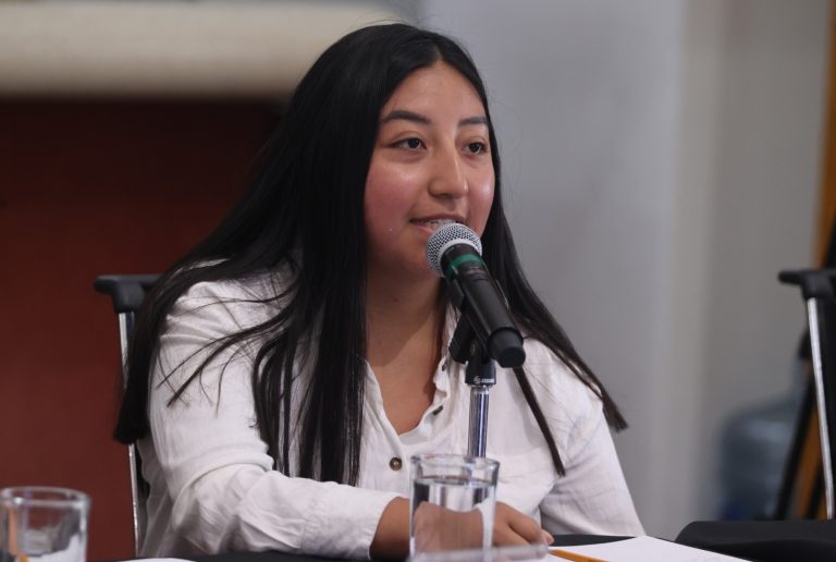 Encuentro entre el INE y Jóvenes Dreamers.