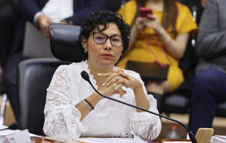 Rita Bell López Vences, Consejera Electoral.