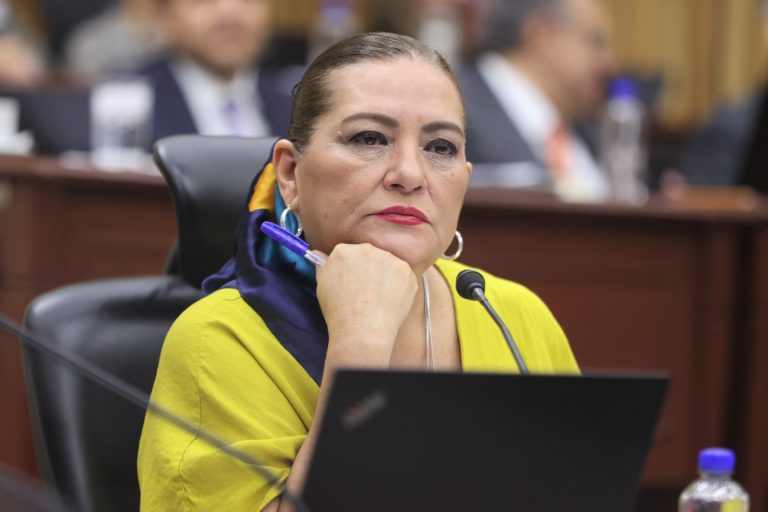 Guadalupe Taddei Zavala, Consejera Presidenta.