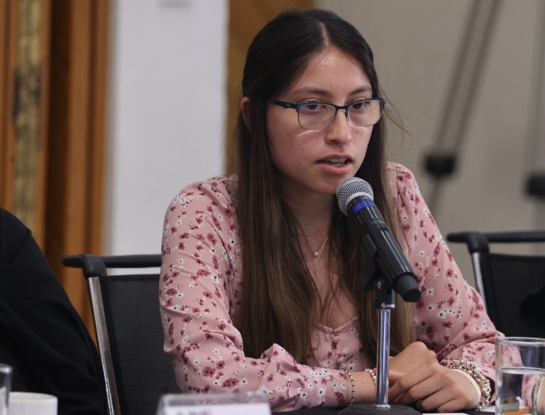 Encuentro entre el INE y Jóvenes Dreamers.