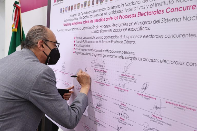 Martin Faz Mora, Consejero Electoral.