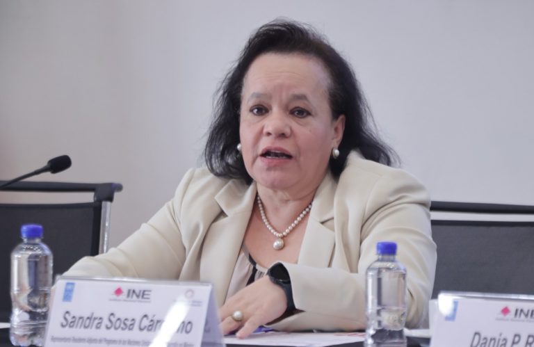 Sandra Sosa Cárcamo, Representante Residente Adjunta del Programa de las Naciones Unidas para el Desarrollo en México.