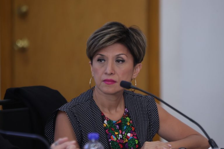 Flor Dessiré León Hernández, Directora de la Unidad Técnica de Igualdad de Género y No Discriminación del Instituto Nacional Electoral.