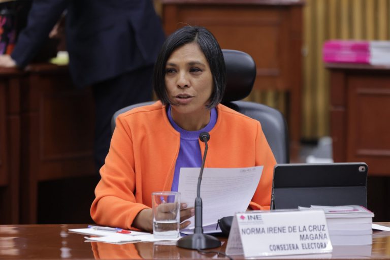 Norma Irene De La Cruz Magaña, Consejera Electoral.