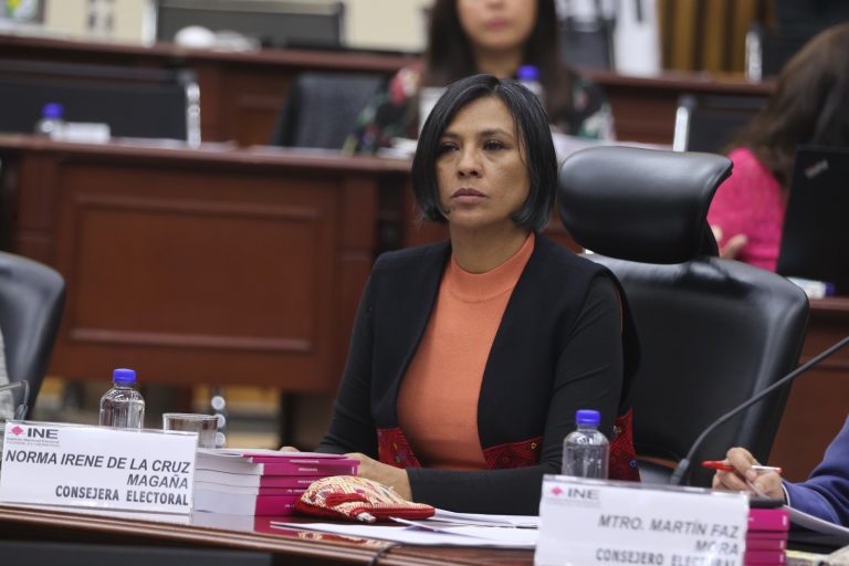 Norma Irene De La Cruz Magaña, Consejera Electoral.