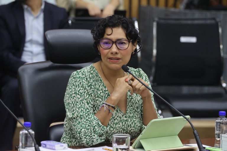 Rita Bell López Vences, Consejera Electoral.