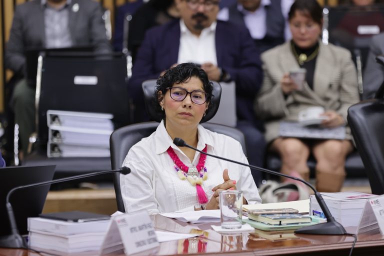Rita Bell López Vences, Consejera Electoral.