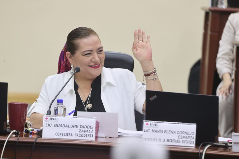 Guadalupe Taddei Zavala, Consejera Presidenta.