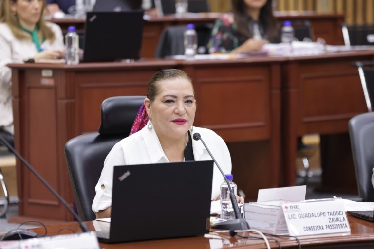 Guadalupe Taddei Zavala, Consejera Presidenta.